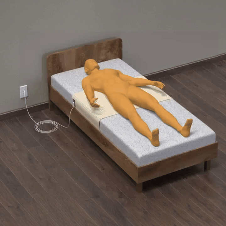 EARTHPULSE® Bed mat